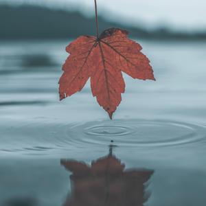 国产乡下三级全黄三级
