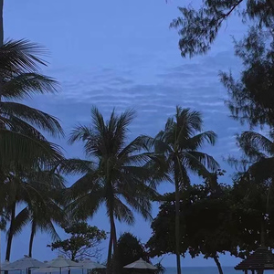 国产乡下三级全黄三级
